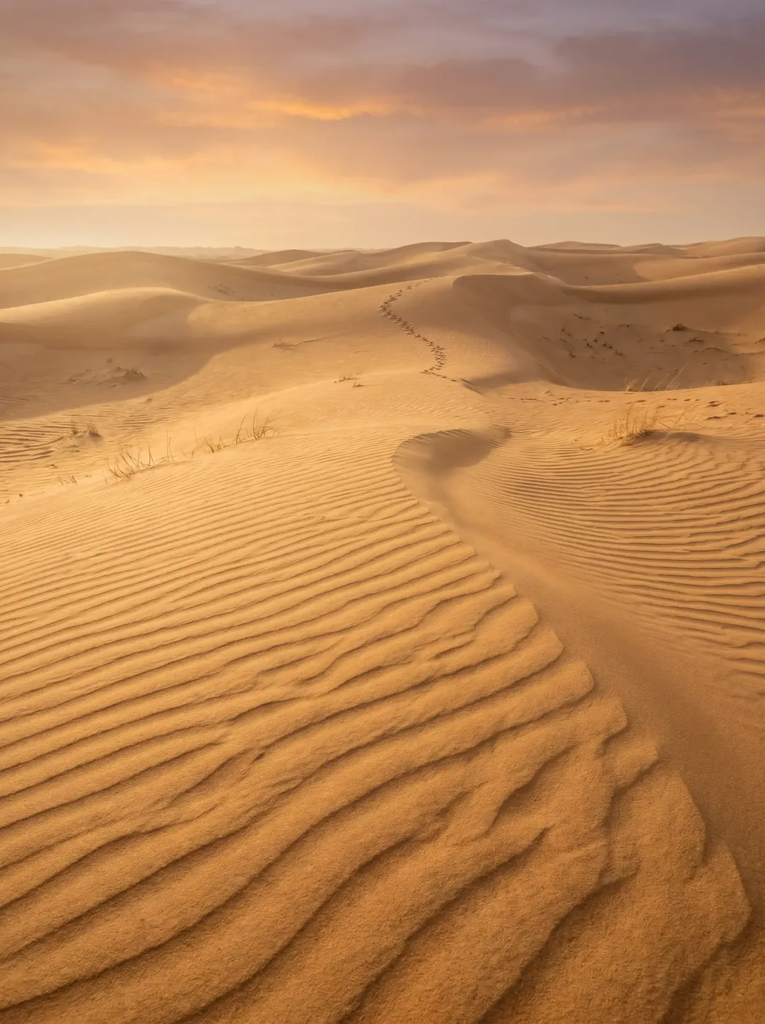 كثبان الصحراء