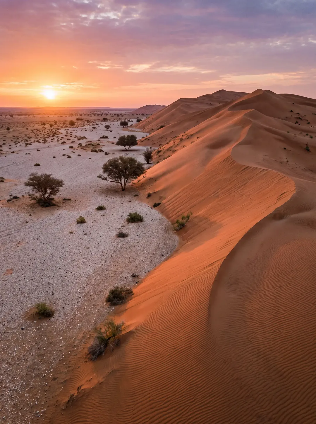 محمية عروق بني معارض